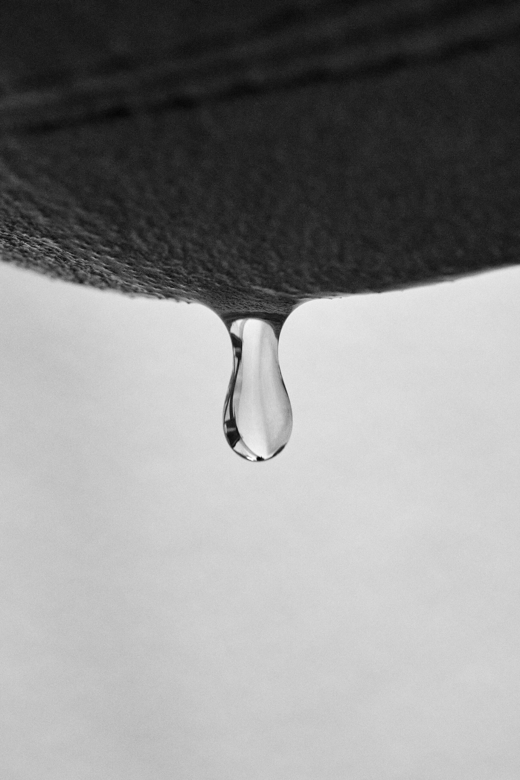 pexels-photo-14459207-1